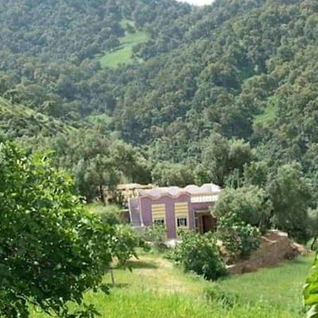 دار الضيافة تازكة Maison D'Hotes Tazekka 타자 외부 사진